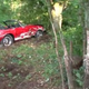 Illustration for article titled A Super Rare $600,000 Ferrari Was Crashed Into A German Tree